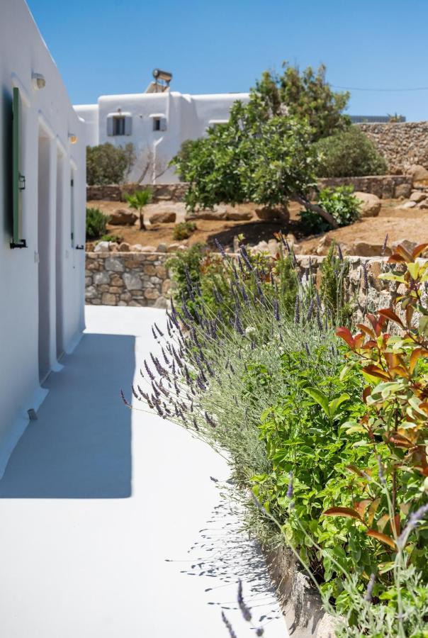 Dioni Villa Mykonos Paraga  Exterior foto